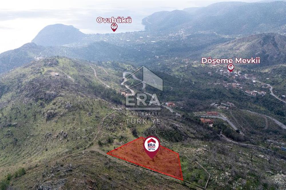 DATÇA MESUDİYE'DE DENİZ MANZARALI 6184 m2 TARLA ERA ZEYTİNDEN