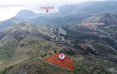 DATÇA MESUDİYE'DE DENİZ MANZARALI 6184 m2 TARLA ERA ZEYTİNDEN