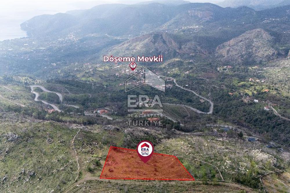 DATÇA MESUDİYE'DE DENİZ MANZARALI 6184 m2 TARLA ERA ZEYTİNDEN