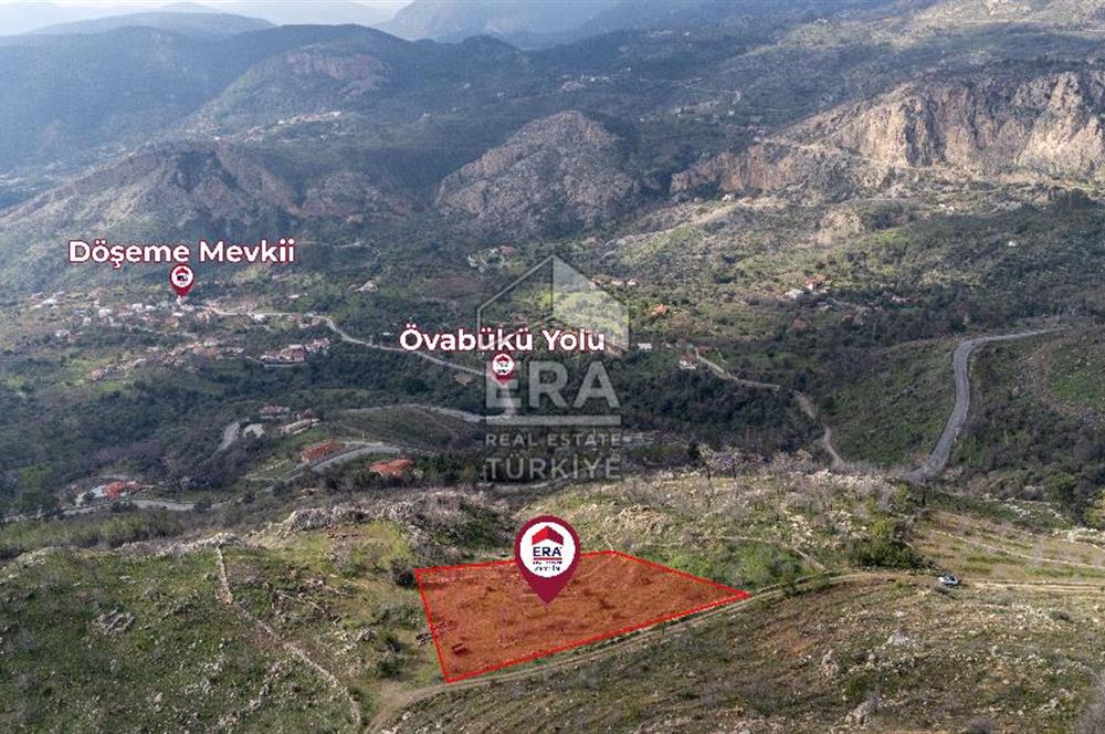 DATÇA MESUDİYE'DE DENİZ MANZARALI 6184 m2 TARLA ERA ZEYTİNDEN