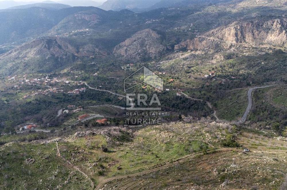 DATÇA MESUDİYE'DE DENİZ MANZARALI 6184 m2 TARLA ERA ZEYTİNDEN