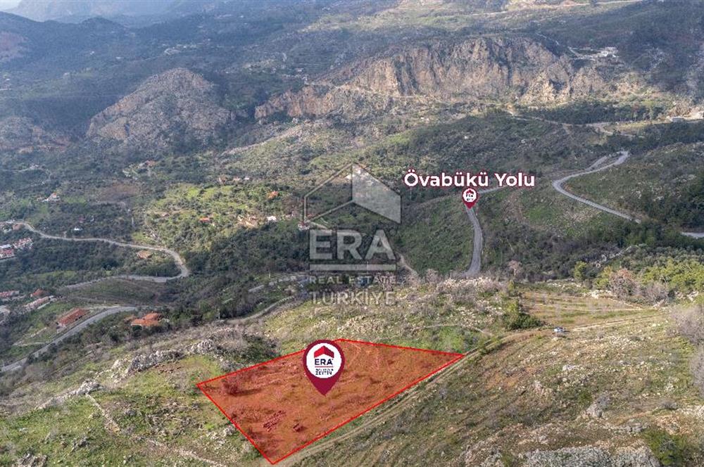 DATÇA MESUDİYE'DE DENİZ MANZARALI 6184 m2 TARLA ERA ZEYTİNDEN