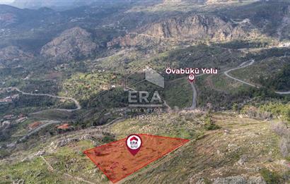 DATÇA MESUDİYE'DE DENİZ MANZARALI 6184 m2 TARLA ERA ZEYTİNDEN