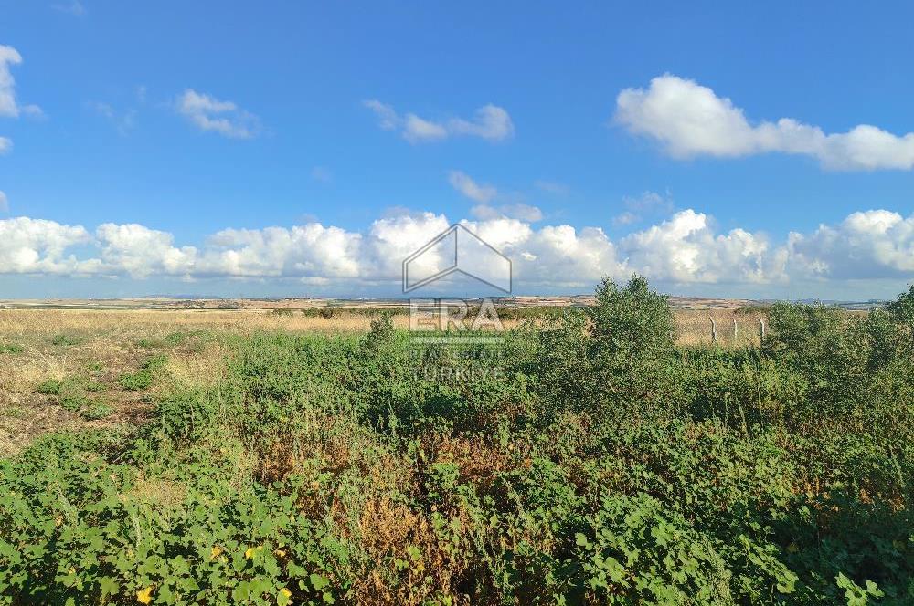 ERA SÖZ DEN BANDIRMA KUŞCENNETİ MAHALLESİNDE SATILIK İMARLI ARSA