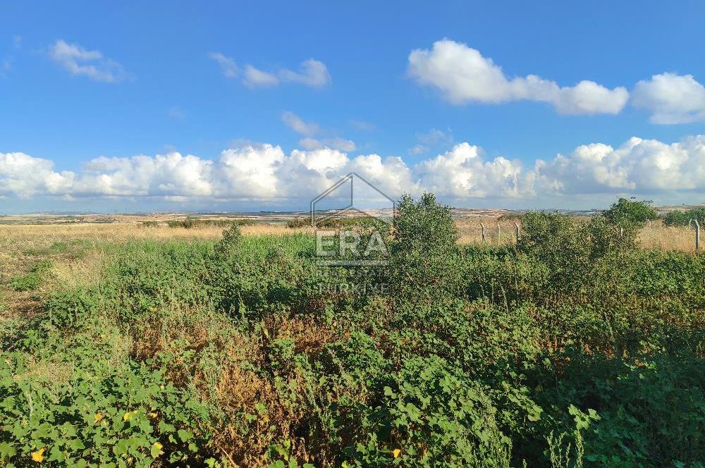 ERA SÖZ DEN BANDIRMA KUŞCENNETİ MAHALLESİNDE SATILIK İMARLI ARSA