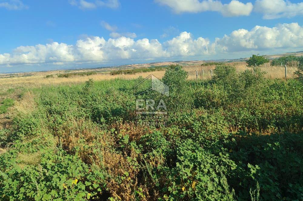 ERA SÖZ DEN BANDIRMA KUŞCENNETİ MAHALLESİNDE SATILIK İMARLI ARSA