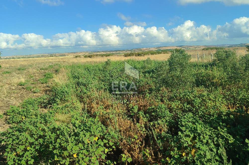 ERA SÖZ DEN BANDIRMA KUŞCENNETİ MAHALLESİNDE SATILIK İMARLI ARSA