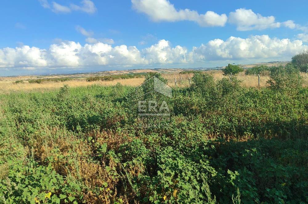 ERA SÖZ DEN BANDIRMA KUŞCENNETİ MAHALLESİNDE SATILIK İMARLI ARSA