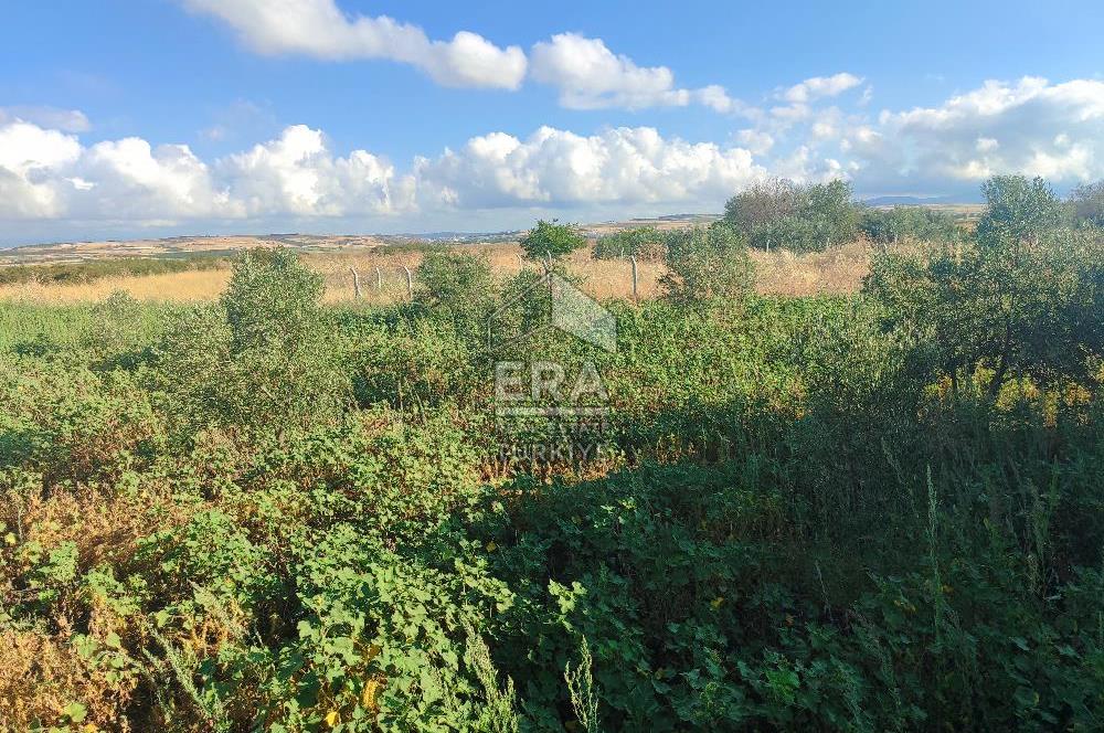 ERA SÖZ DEN BANDIRMA KUŞCENNETİ MAHALLESİNDE SATILIK İMARLI ARSA