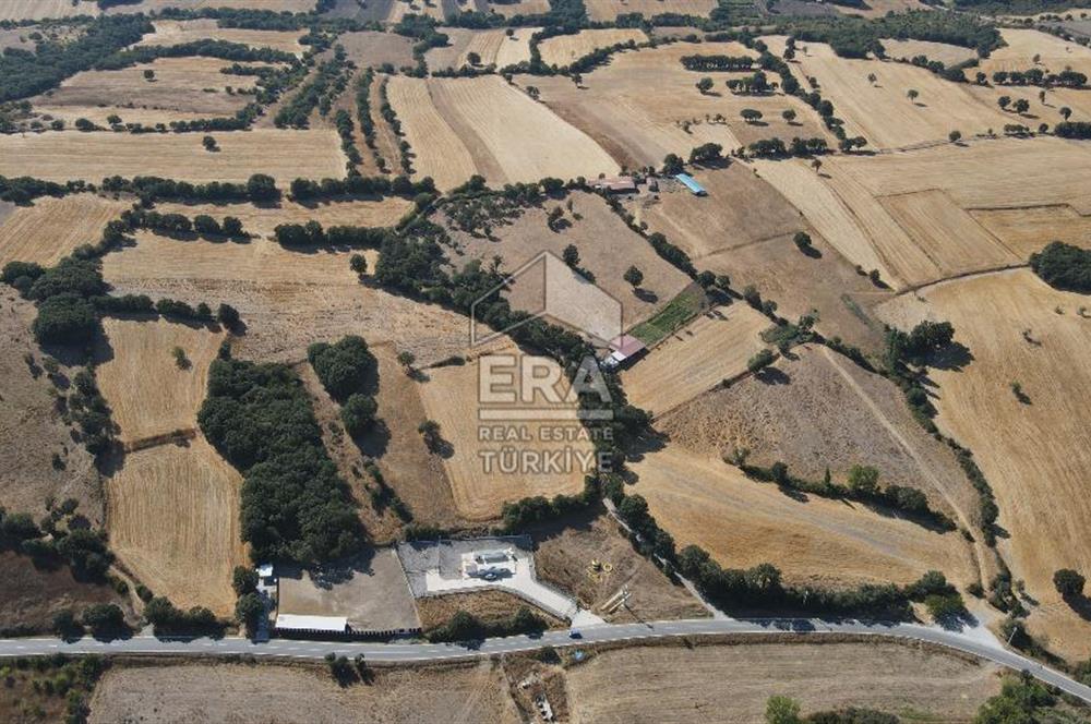 ERA SÖZDEN BALIKESİR İVRİNDİ SAKARYA MAHALLESİNDE SATILIK TARLA