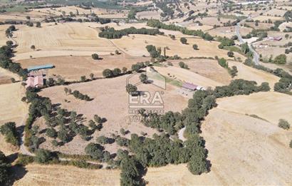 ERA SÖZDEN BALIKESİR İVRİNDİ SAKARYA MAHALLESİNDE SATILIK TARLA