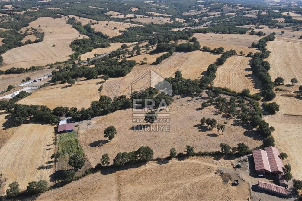 ERA SÖZDEN BALIKESİR İVRİNDİ SAKARYA MAHALLESİNDE SATILIK TARLA