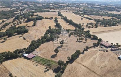 ERA SÖZDEN BALIKESİR İVRİNDİ SAKARYA MAHALLESİNDE SATILIK TARLA