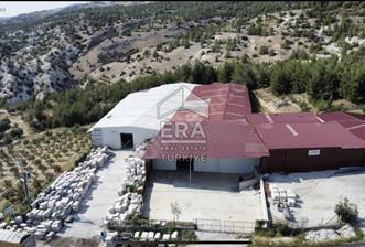 ERA FLY'DAN IRLIGANLI'DA 150KW ELEKTRİKLİ 2800 m² FABRİKA