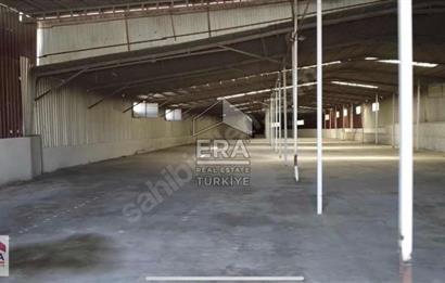 ERA FLY'DAN IRLIGANLI'DA 150KW ELEKTRİKLİ 2800 m² FABRİKA