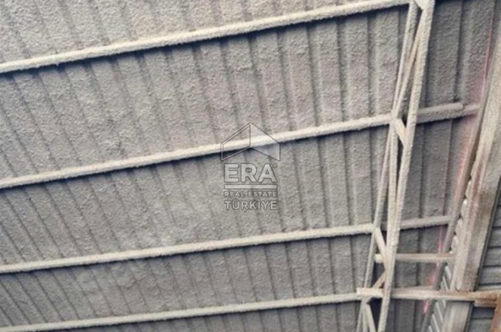 ERA FLY'DAN IRLIGANLI'DA 150KW ELEKTRİKLİ 2800 m² FABRİKA