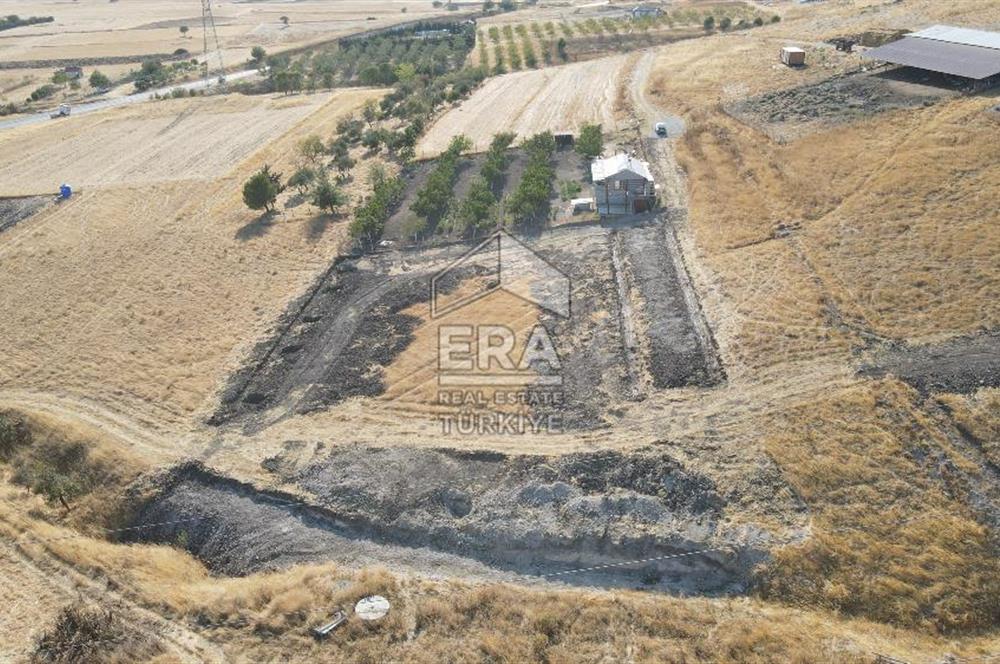 ERA SÖZ BALIKESİR ALTIEYLÜL KÖYLÜKÖY MAHALLESİ'NDE SATILIK TARLA