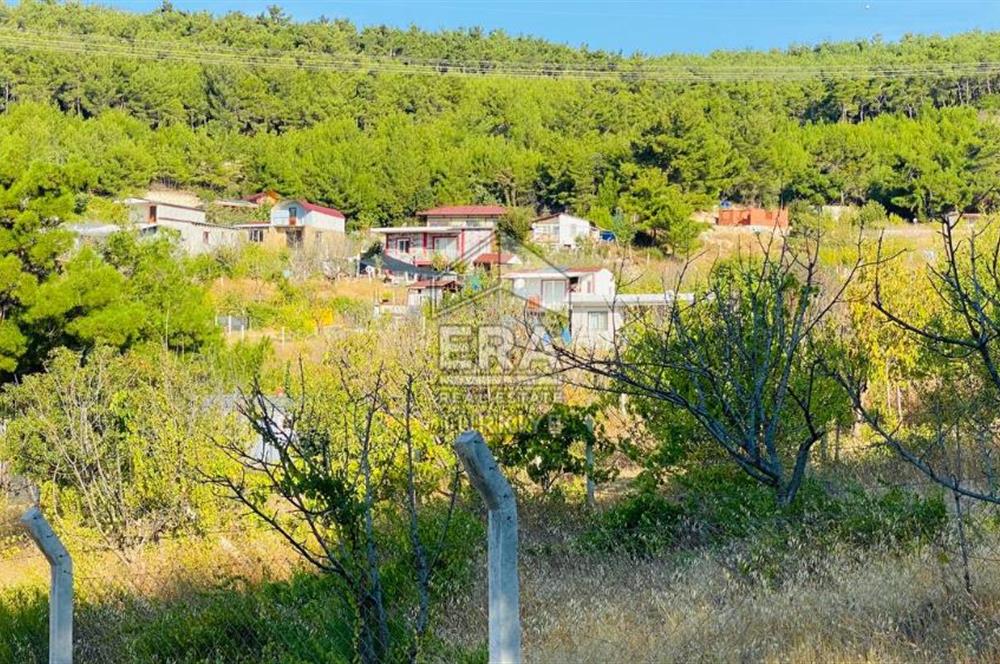 ERA NİVA'DAN BORNOVA YAKAKÖY'DE DOĞA İLE İÇİÇE SATILIK ARAZİ