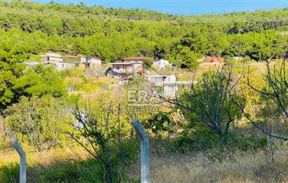 ERA NİVA'DAN BORNOVA YAKAKÖY'DE DOĞA İLE İÇİÇE SATILIK ARAZİ