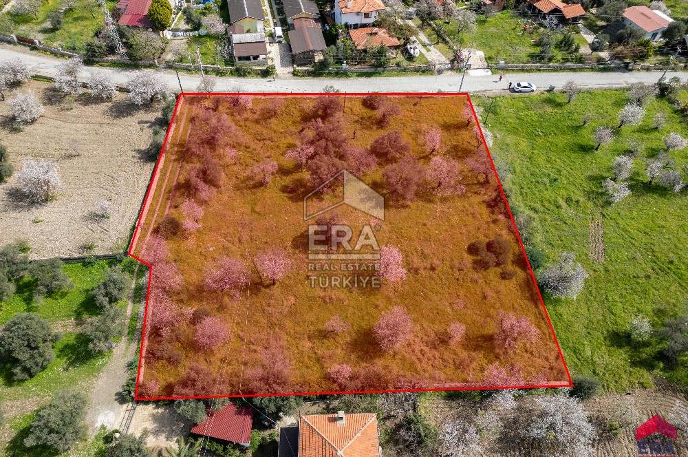 Datça Ovabükü'nde Satılık 3232m2 Deniz Manzaralı Arsa