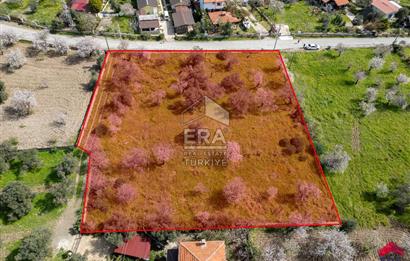 Datça Ovabükü'nde Satılık 3232m2 Deniz Manzaralı Arsa