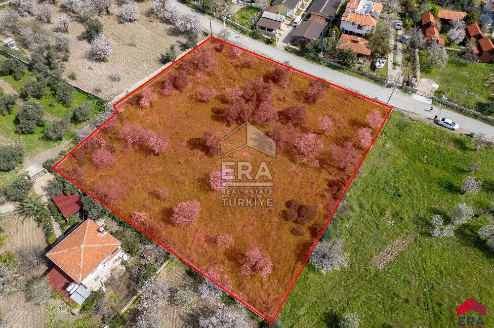 Datça Ovabükü'nde Satılık 3232m2 Deniz Manzaralı Arsa