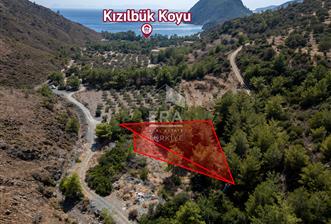 Datça Kızılbük'te Satılık Denize 600m 1.496,48m2 Tarla