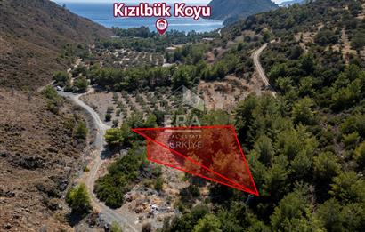 Datça Kızılbük'te Satılık Denize 600m 1.496,48m2 Tarla