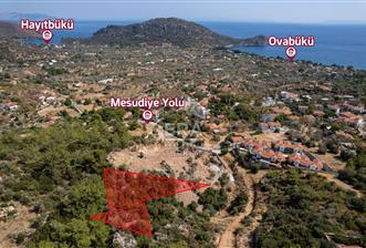 Datça Mesudiye'de 823,92m2 Kapanmaz Deniz Manzaralı Tarla