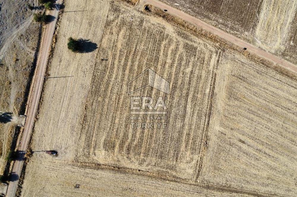 ERA FLY'DAN TAVAS ULUKENT'TE 6177 m² SATILIK TARLA