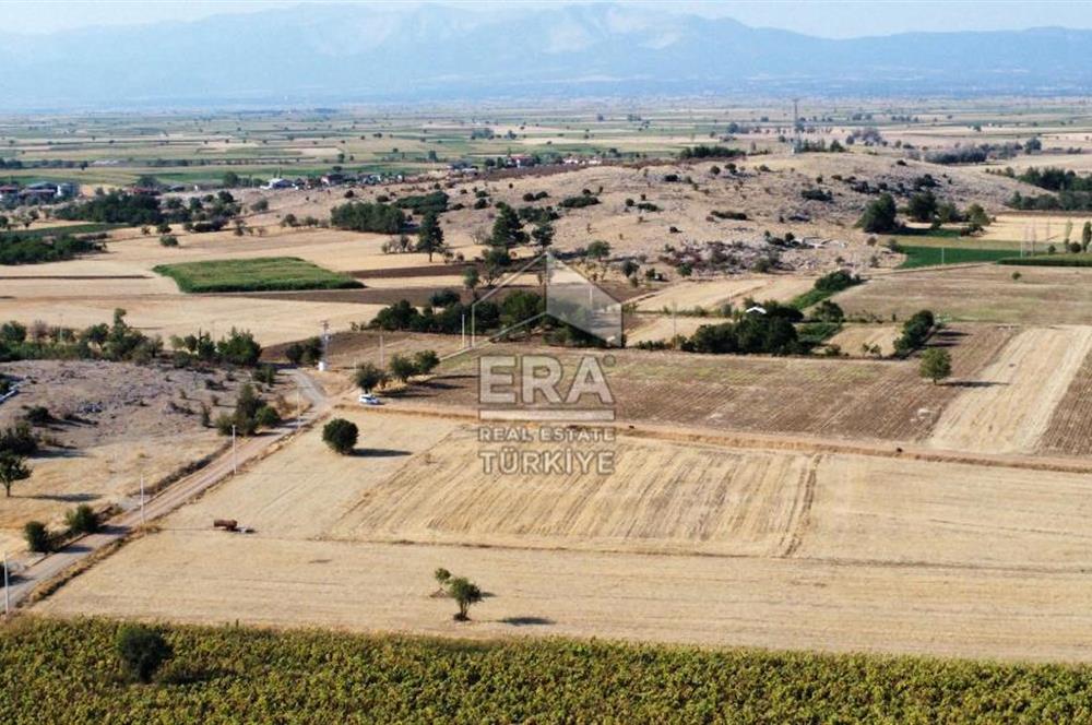 ERA FLY'DAN TAVAS ULUKENT'TE 6177 m² SATILIK TARLA