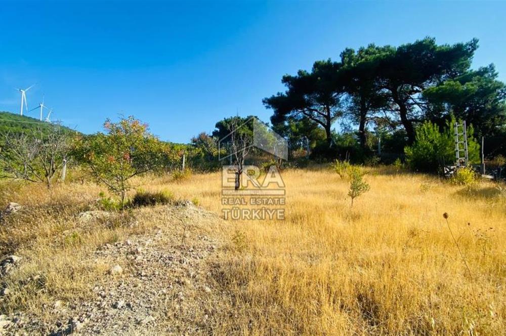 ERA NİVA'DAN BORNOVA YAKAKÖY'DE DOĞA İLE İÇİÇE SATILIK ARAZİ