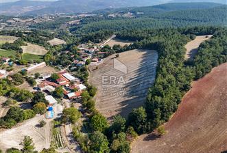 ERA SÖZ DEN TAYYİPLER MH SATILIK 6887 m² KONUT İMARLI ARSA