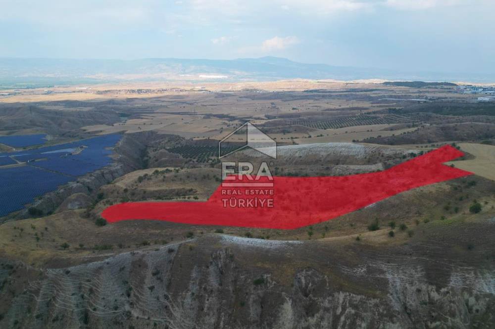 Yeşilyala'da Fırsat Satılık Yatırımlık 19.900 m2 Arazi