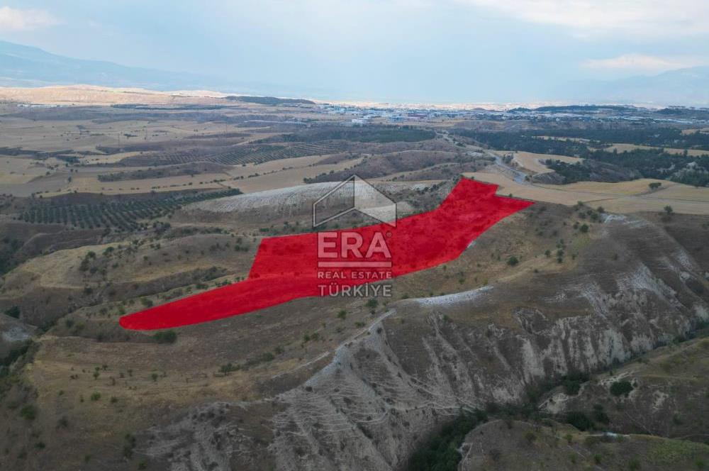 Yeşilyala'da Fırsat Satılık Yatırımlık 19.900 m2 Arazi