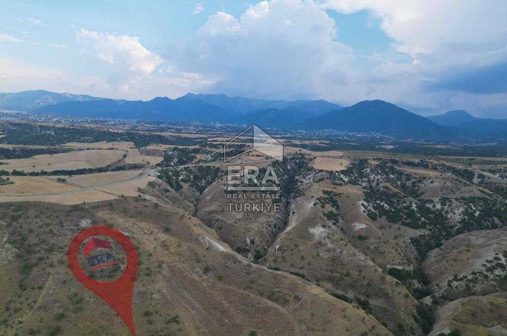 Yeşilyala'da Fırsat Satılık Yatırımlık 19.900 m2 Arazi