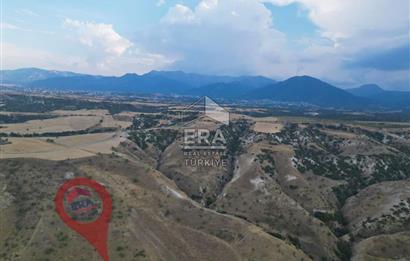 Yeşilyala'da Fırsat Satılık Yatırımlık 19.900 m2 Arazi