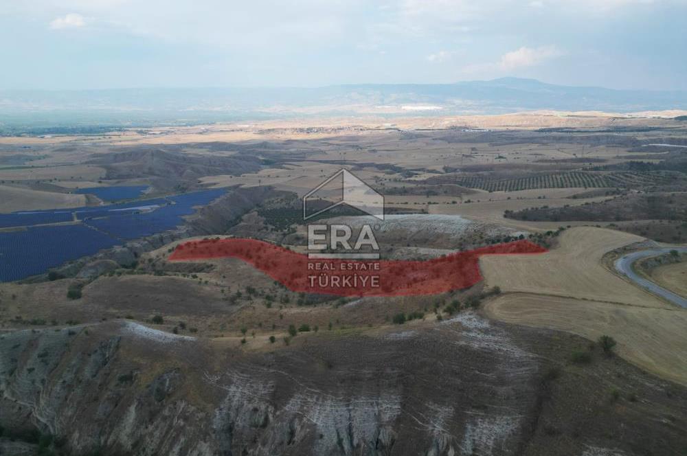 Yeşilyala'da Fırsat Satılık Yatırımlık 19.900 m2 Arazi