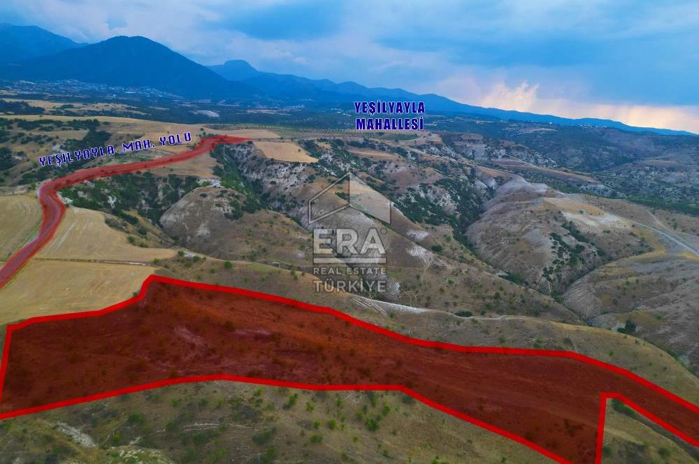 Yeşilyala'da Fırsat Satılık Yatırımlık 19.900 m2 Arazi