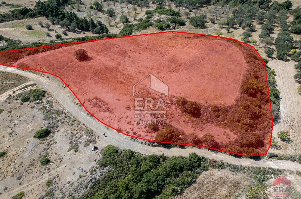 Datça Kızlanaltında Satılık 11.368 m² Tarla 