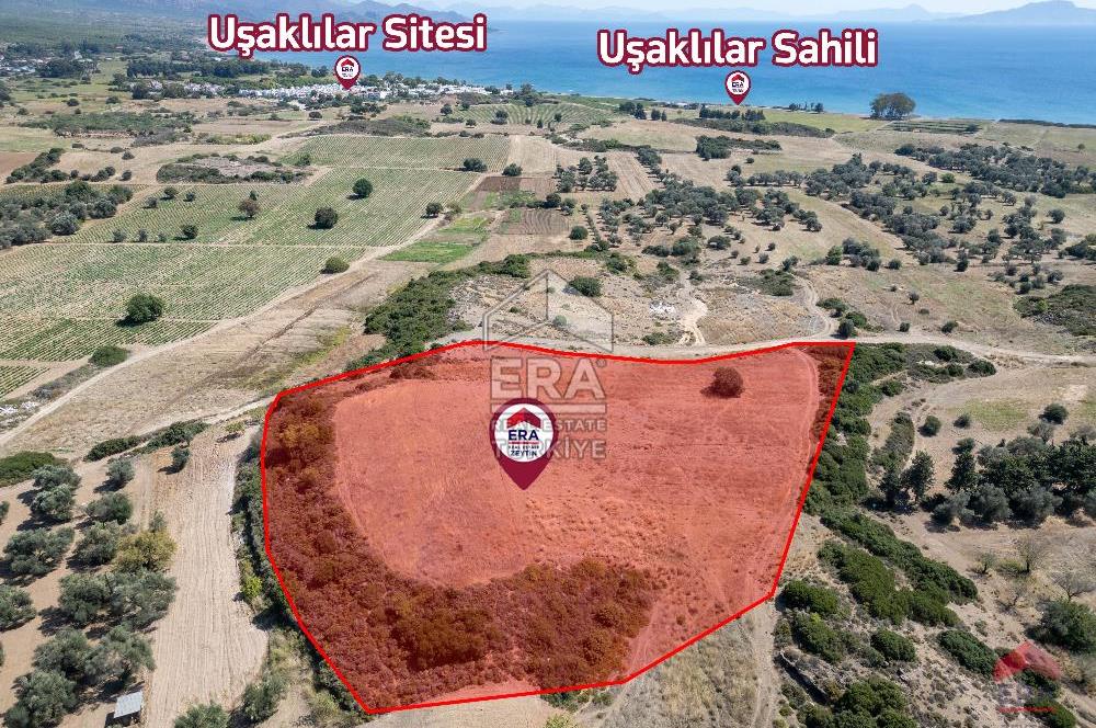 Datça Kızlanaltında Satılık 11.368 m² Tarla 