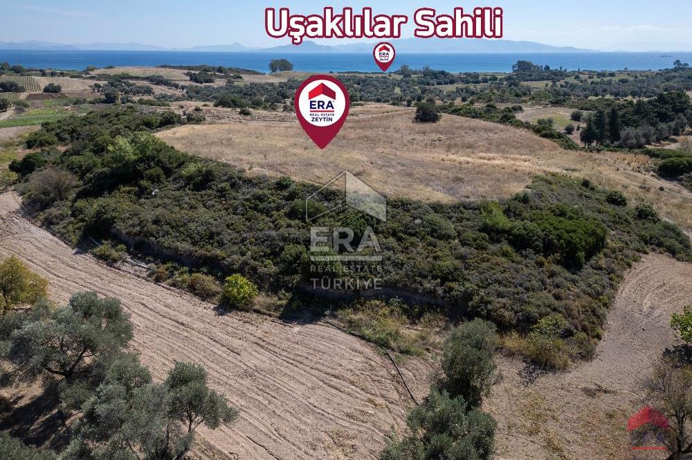 Datça Kızlanaltında Satılık 11.368 m² Tarla 