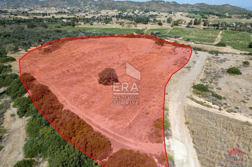 Datça Kızlanaltında Satılık 11.368 m² Tarla 