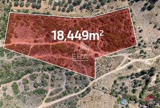 Datça Merkezde İmar Sınırında Deniz Manzaralı 18.449m2 Tarla