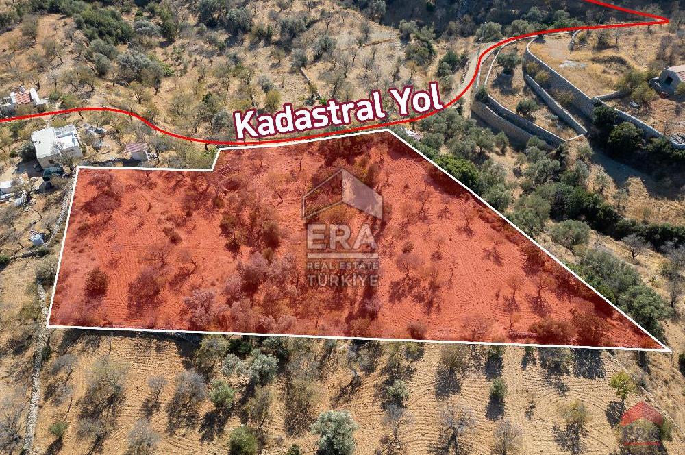 Datça Cumalı Köyünde 4.377m2 Satılık Arsa