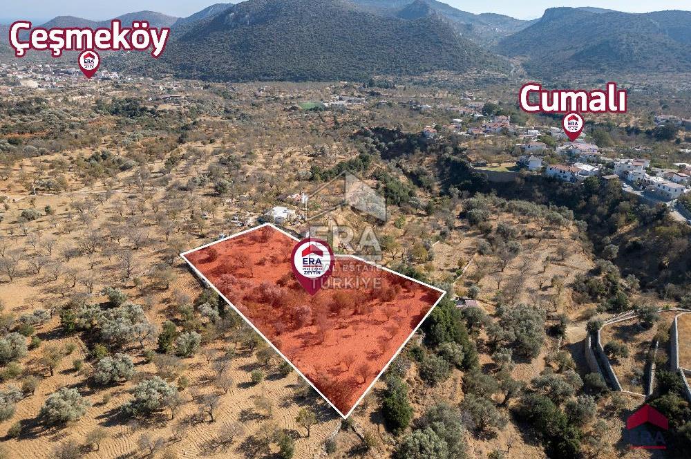 Datça Cumalı Köyünde 4.377m2 Satılık Arsa