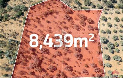 Datça Cumalı Da Yatırımlık 8.439m2 Satılık Arsa