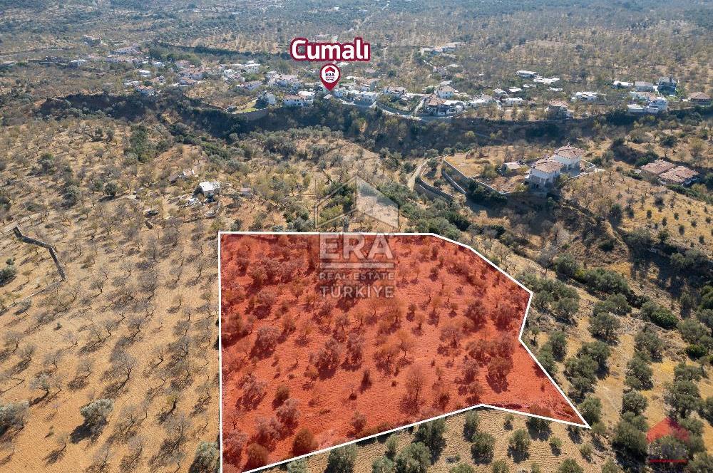 Datça Cumalı Da Yatırımlık 8.439m2 Satılık Arsa