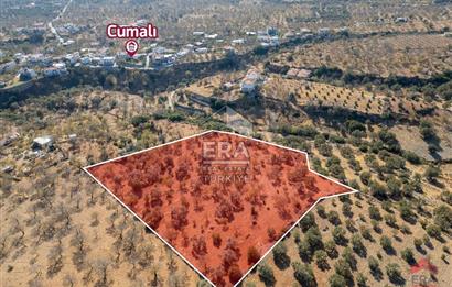 Datça Cumalı Da Yatırımlık 8.439m2 Satılık Arsa