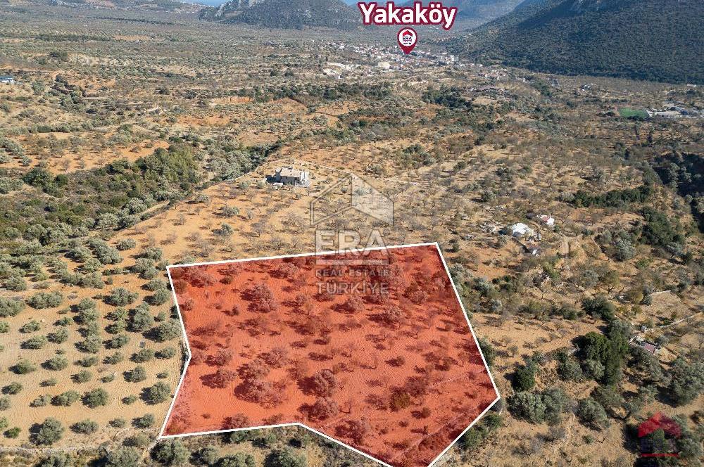 Datça Cumalı Da Yatırımlık 8.439m2 Satılık Arsa